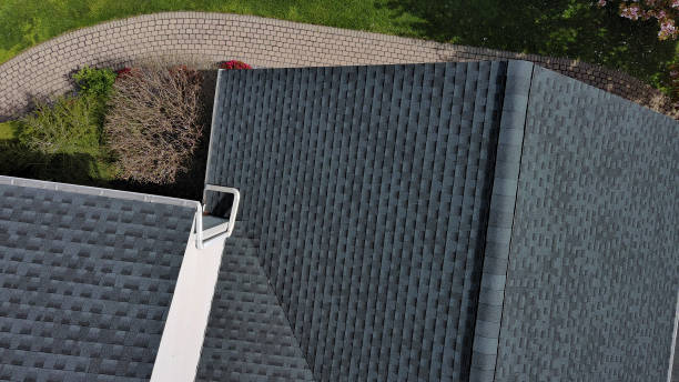 Best Solar Panel Roofing Installation  in Winter Beach, FL
